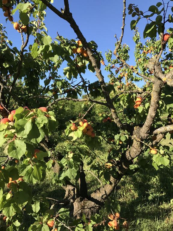 Agriturismo Ca Lunati Hotel Castelletto Mendosio Zewnętrze zdjęcie