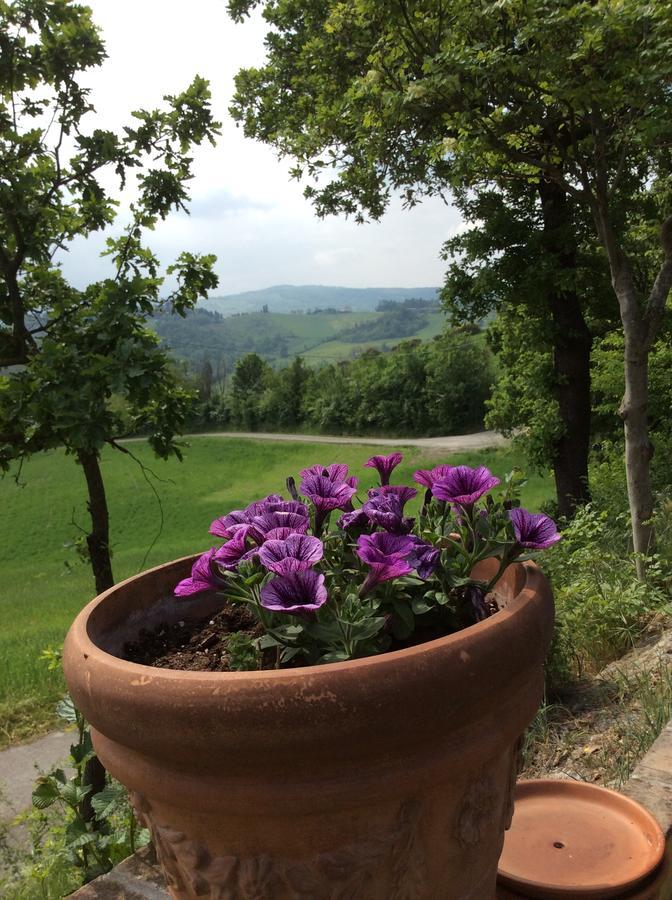 Agriturismo Ca Lunati Hotel Castelletto Mendosio Zewnętrze zdjęcie