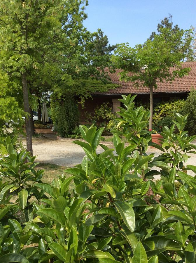 Agriturismo Ca Lunati Hotel Castelletto Mendosio Zewnętrze zdjęcie